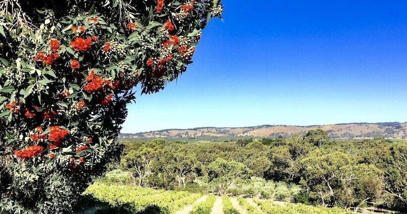 Karawatha Cottages B&b