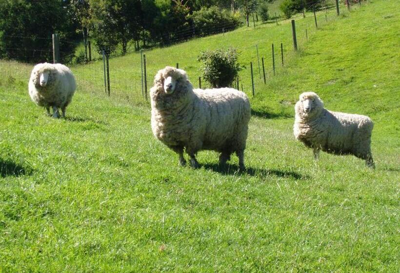 Llarrinda Bed & Breakfast