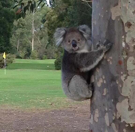 Llarrinda Bed & Breakfast