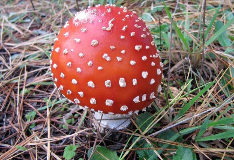 Llarrinda Bed & Breakfast