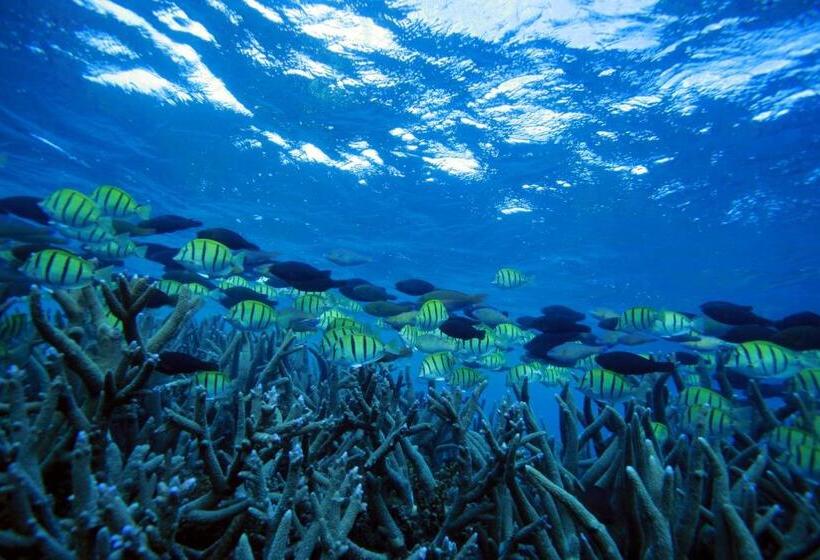 리조트 Mackerel Islands