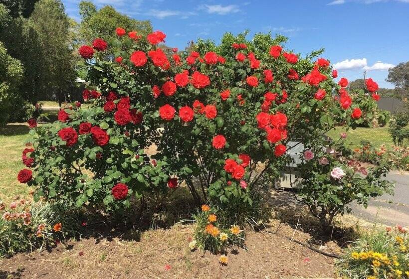 מוטל Byer Fountain Motor Inn