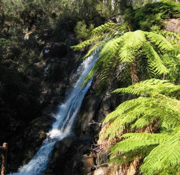 מוטל Goldberryaccommodation