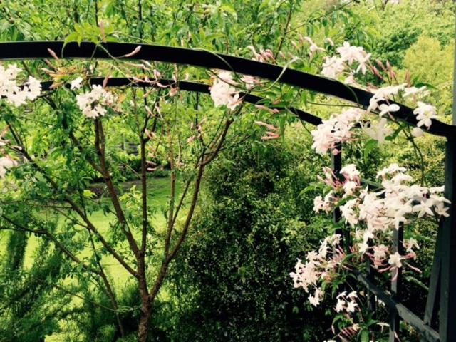 מוטל Goldberryaccommodation