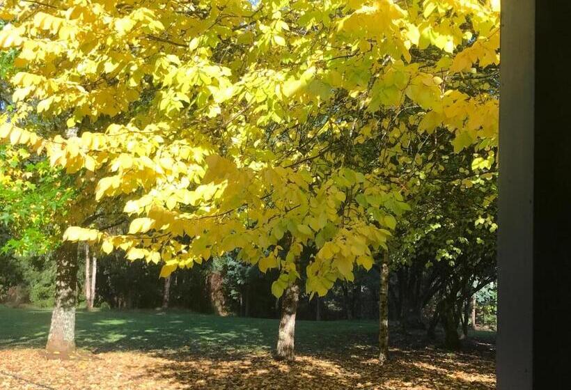 מוטל Goldberryaccommodation