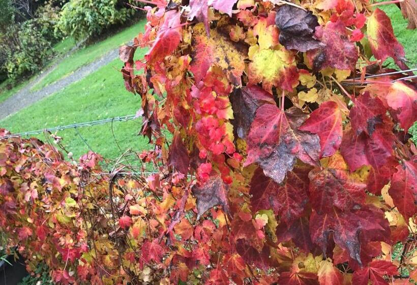 מוטל Goldberryaccommodation