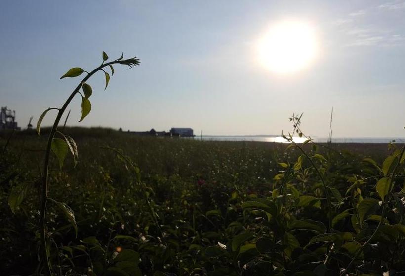 モーテル The Inn At Soho Square