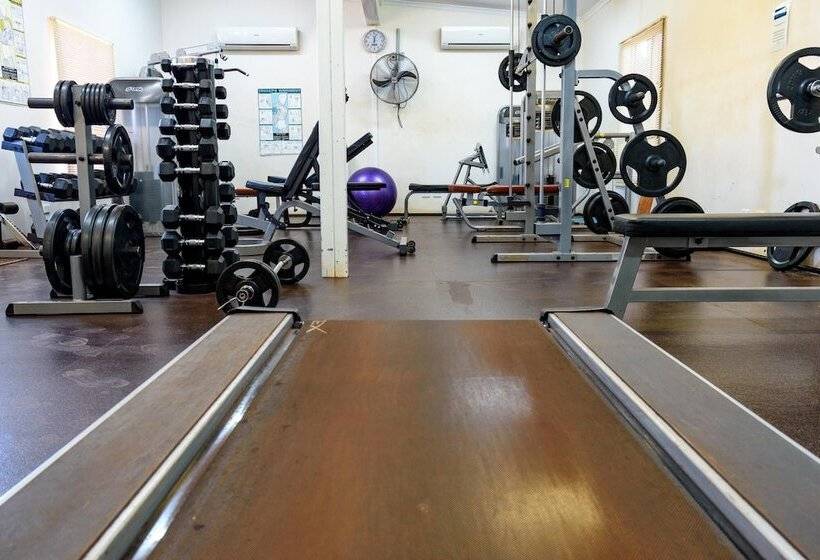 مُتل Oasis Newman