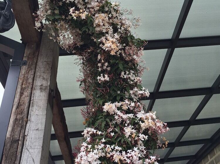 بنسيون Bakehouse  38 Restaurant & Guesthouse