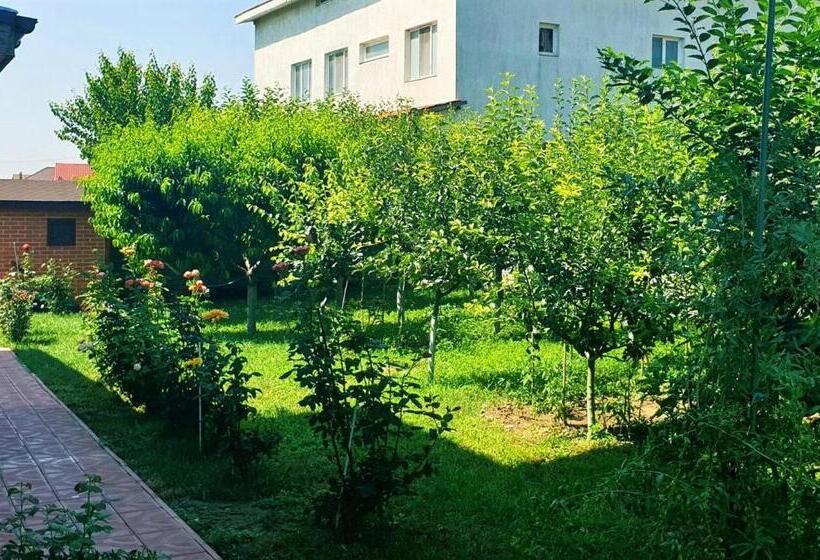 Пансион Elina