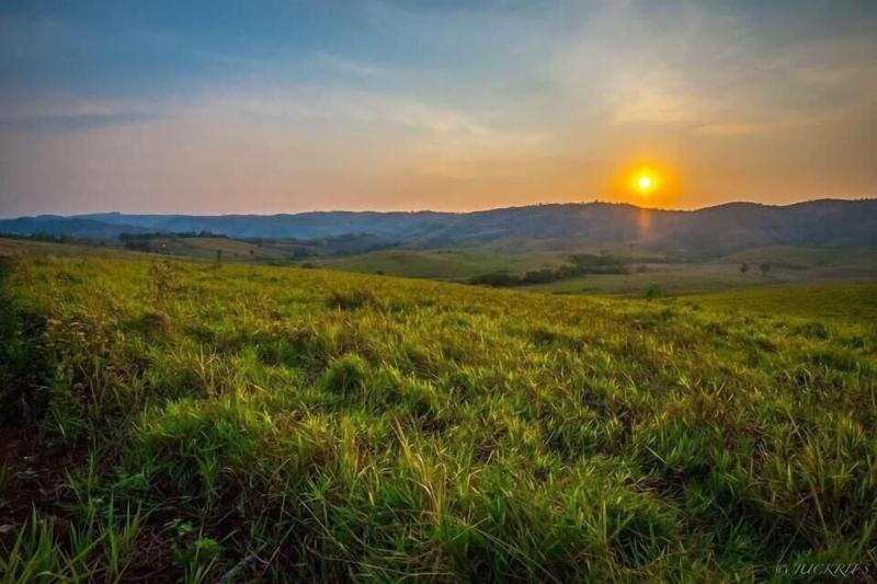 ペンション Forest Hill1 Khao Kho