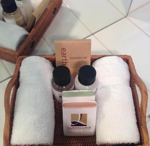 膳宿费 Llewellin S Guest House