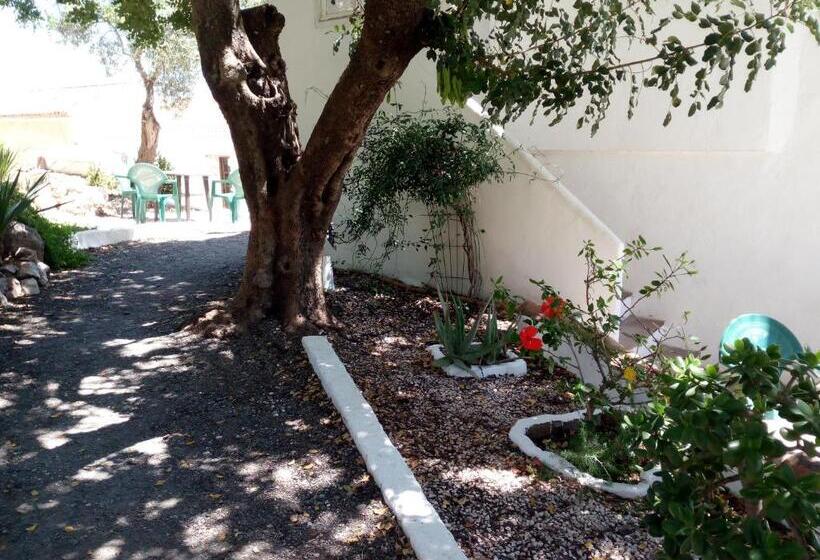 بنسيون Olive Branch El Chorro