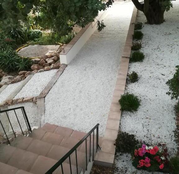 بنسيون Olive Branch El Chorro