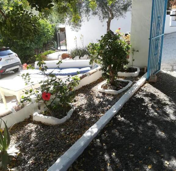 بنسيون Olive Branch El Chorro