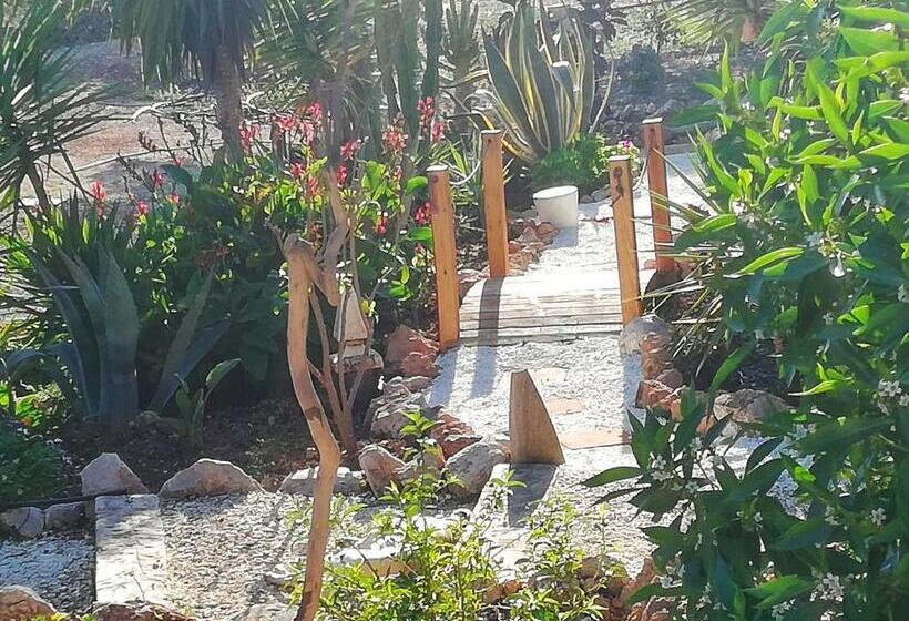 بنسيون Olive Branch El Chorro