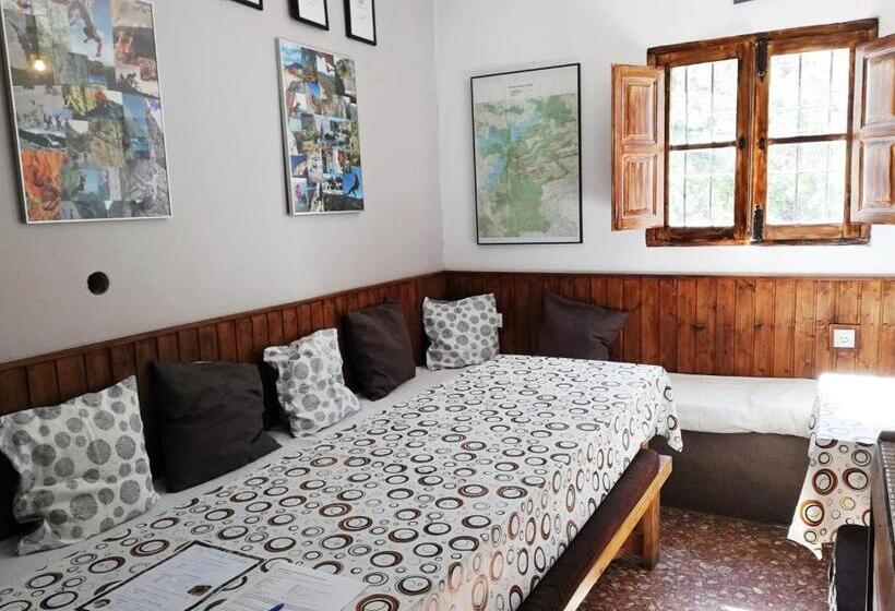 بنسيون Olive Branch El Chorro