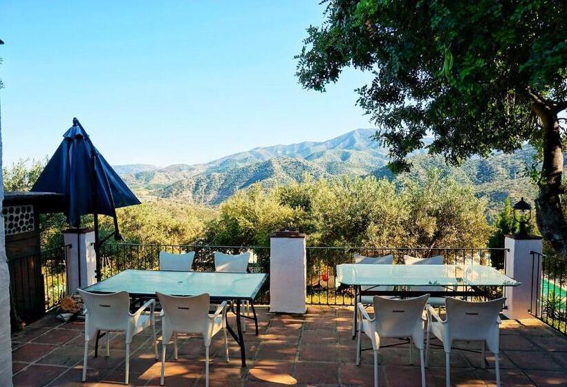 بنسيون Olive Branch El Chorro