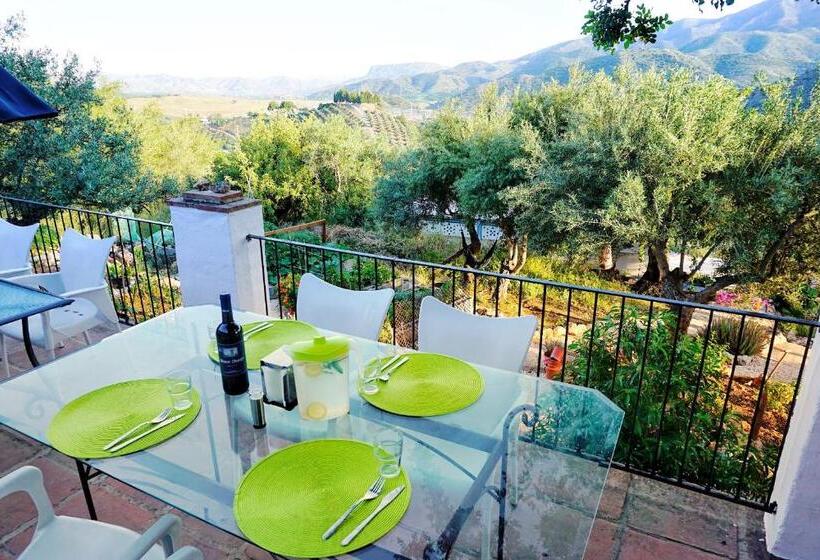 بنسيون Olive Branch El Chorro