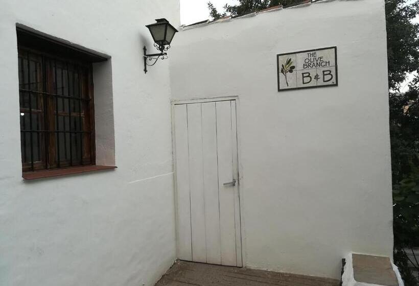 بنسيون Olive Branch El Chorro