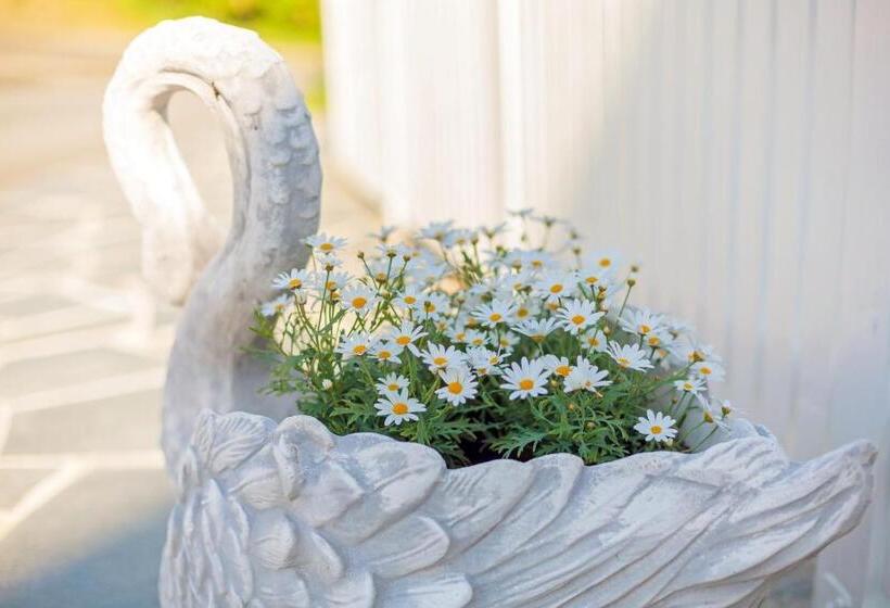 펜션 Sakrisøy Gjestegård   Manor House In Sakrisøy   Solbakken Anno 1880