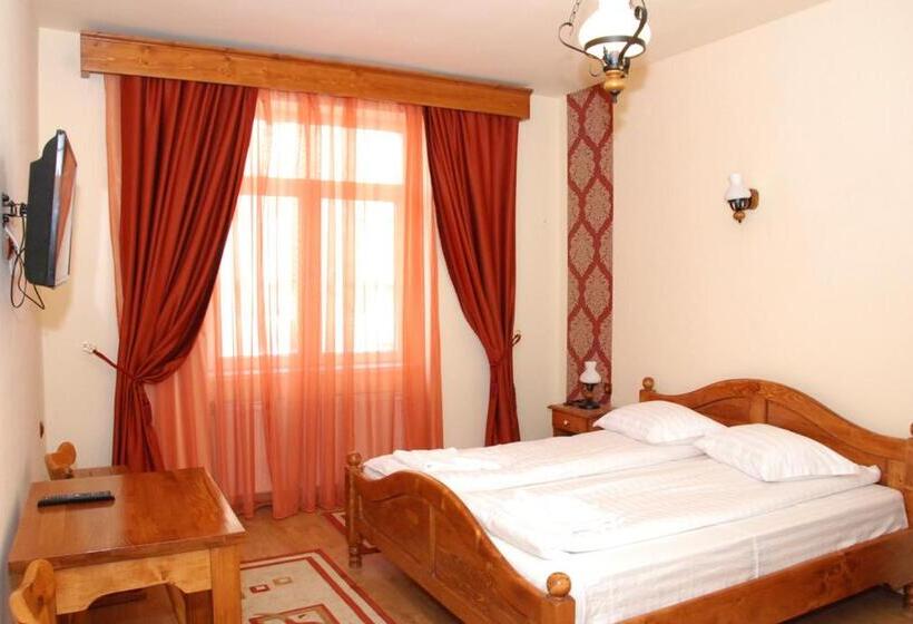 بنسيون Vila Nicoleta