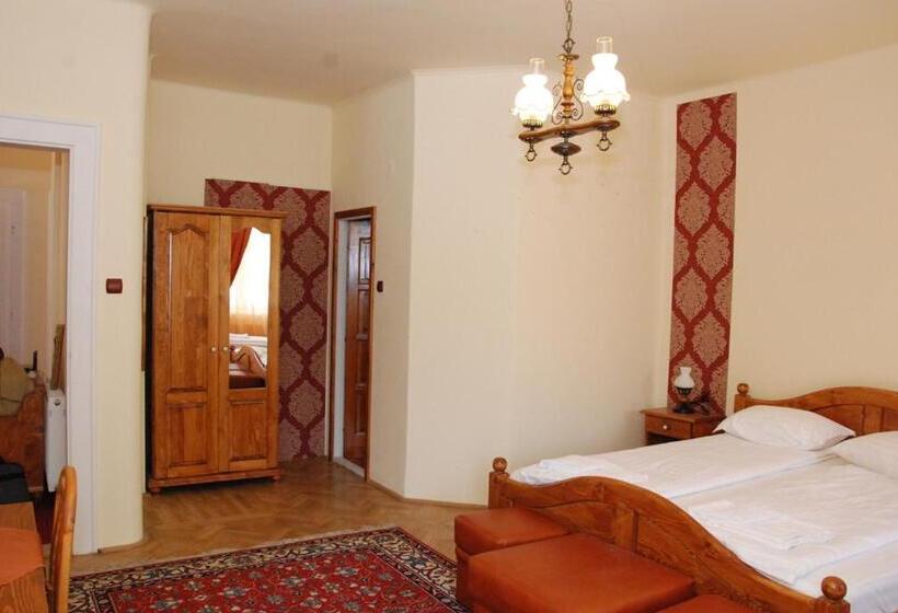 بنسيون Vila Nicoleta