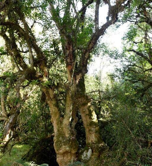 펜션 Westfield Farm