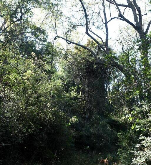 펜션 Westfield Farm