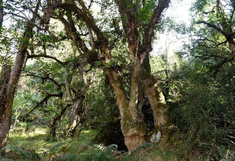 펜션 Westfield Farm