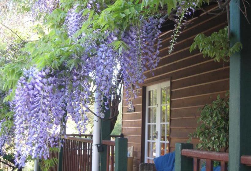 Rosemoore Bed & Breakfast