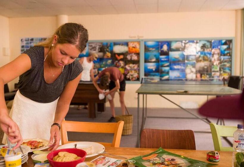 Общежитие Manta Lodge Yha & Scuba Centre