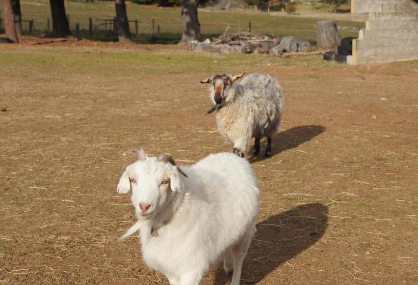 Alpine Country Motel And Metro Roadhouse Cooma