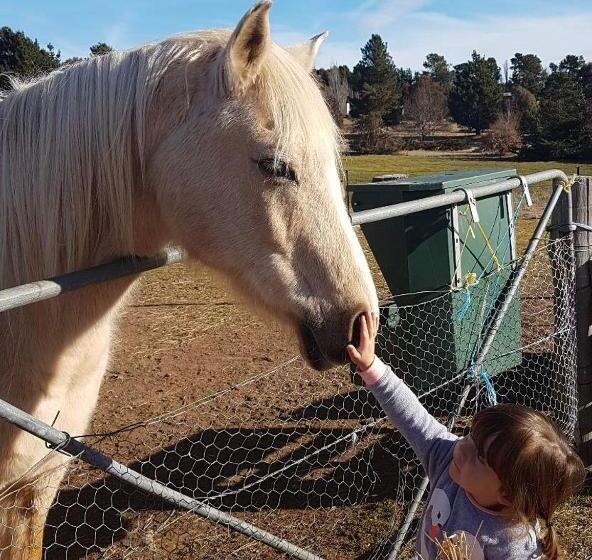 Alpine Country Motel And Metro Roadhouse Cooma