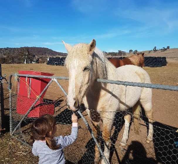Alpine Country Motel And Metro Roadhouse Cooma