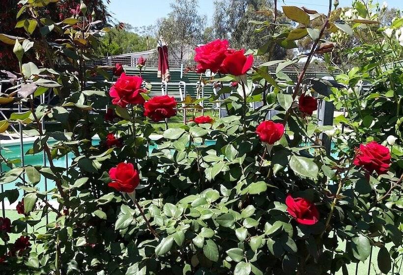 Barham Colonial Motel