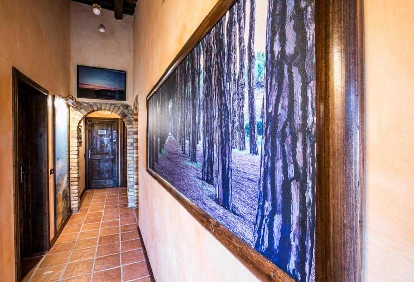 ベッドアンドブレックファースト Agriturismo Col Morino