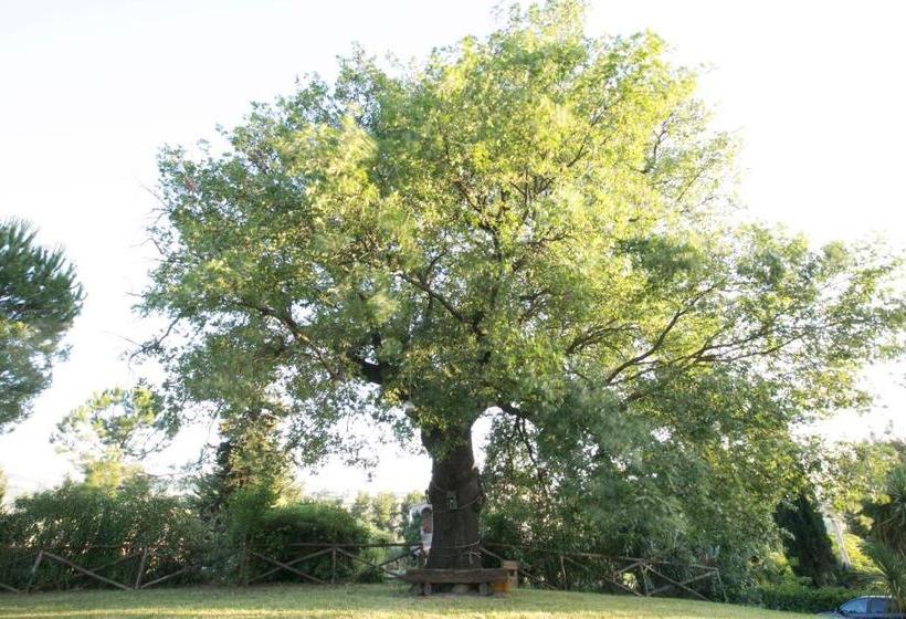 ベッドアンドブレックファースト Agriturismo Col Morino