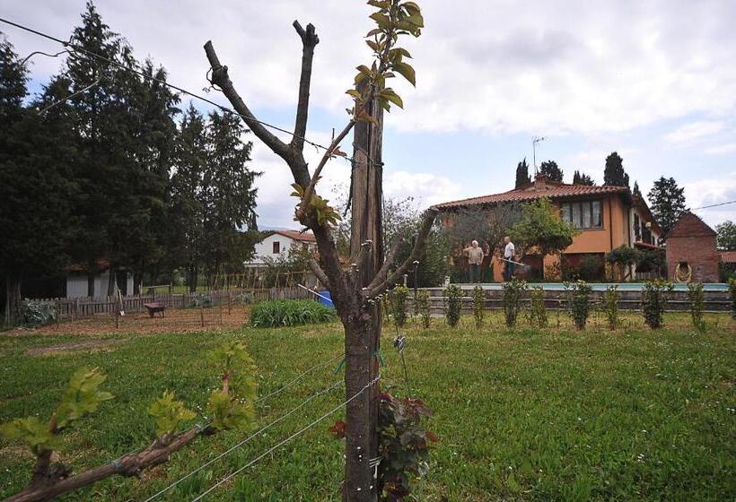 민박 Artenatura Beb