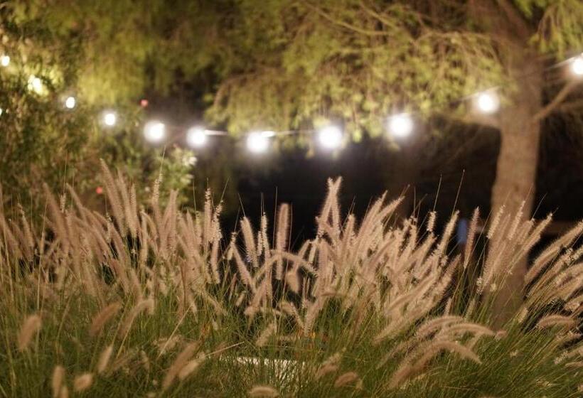 ホテル Garden Salento