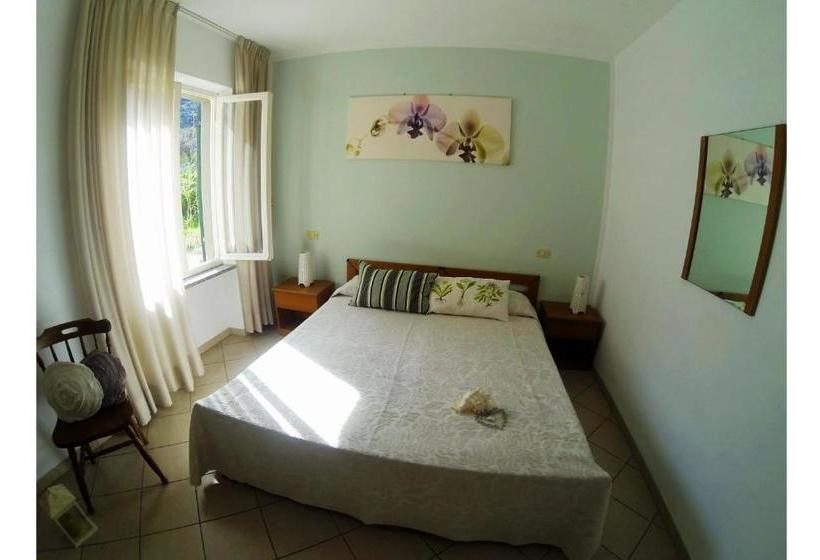 Отель Holiday Bambù