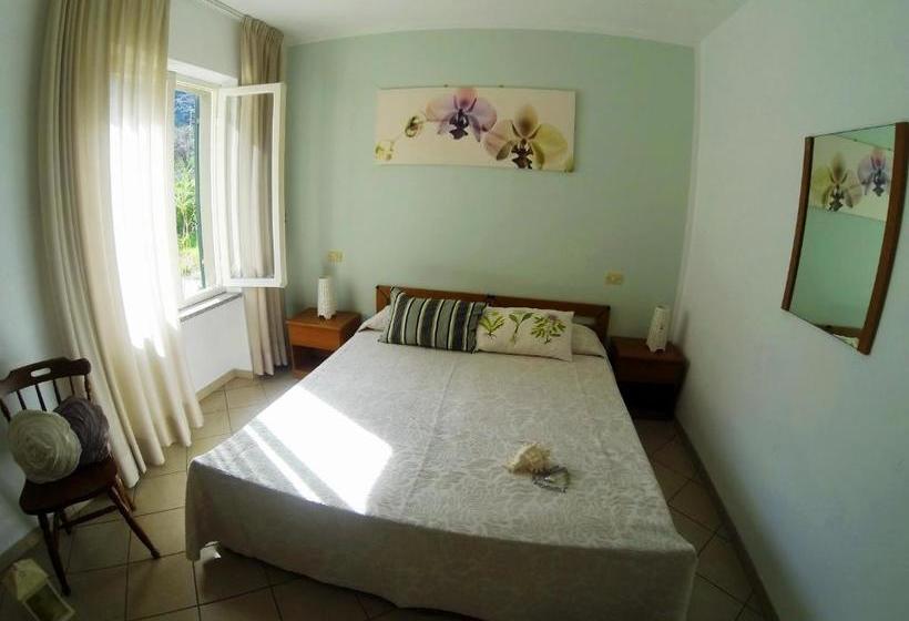 Отель Holiday Bambù