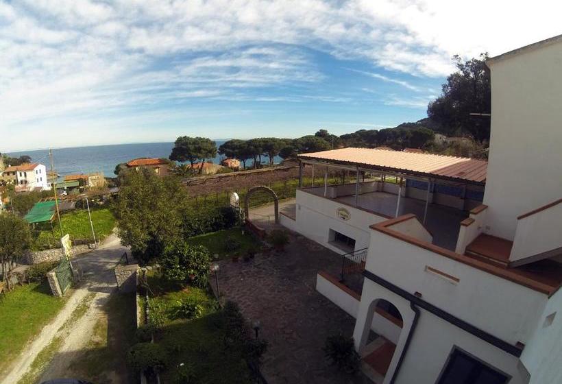 Отель Holiday Bambù