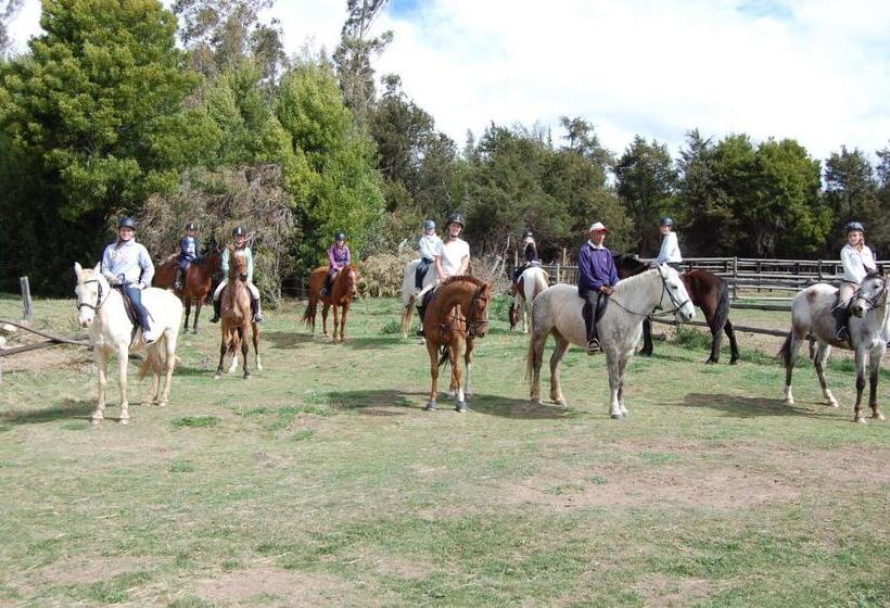 فندق Lowestoffe Country Lodge   Trout