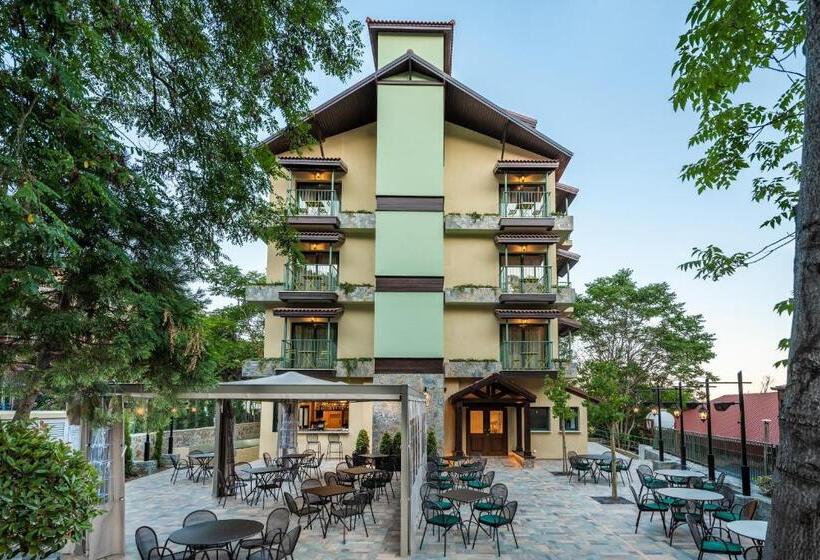 호텔 Petit Palais Platres Boutique