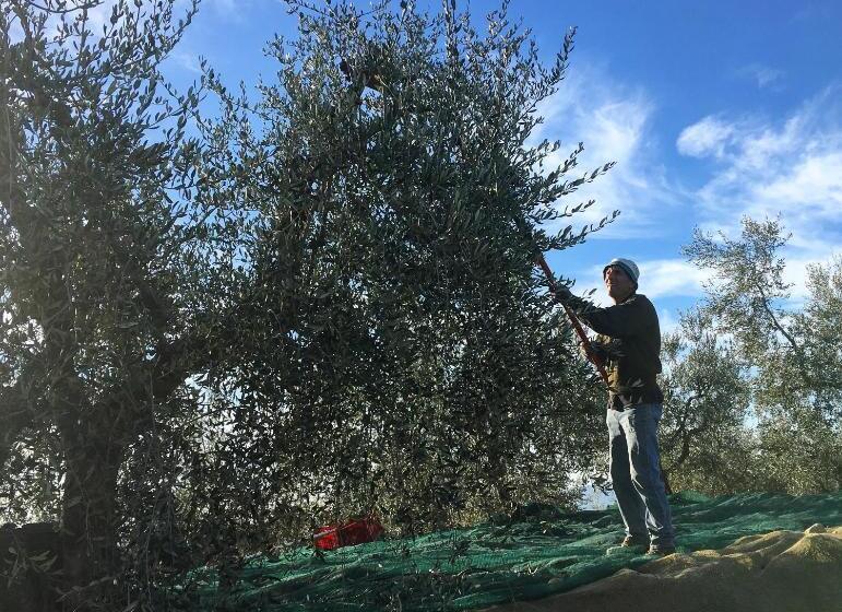 בית מלון כפרי Podere Casanova