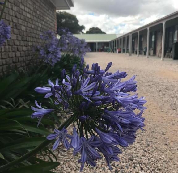 Lake Albert Motel