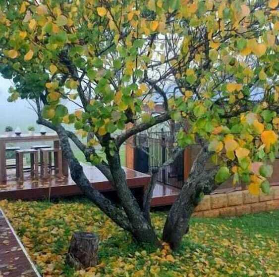 מוטל Blackwood Valley Suites