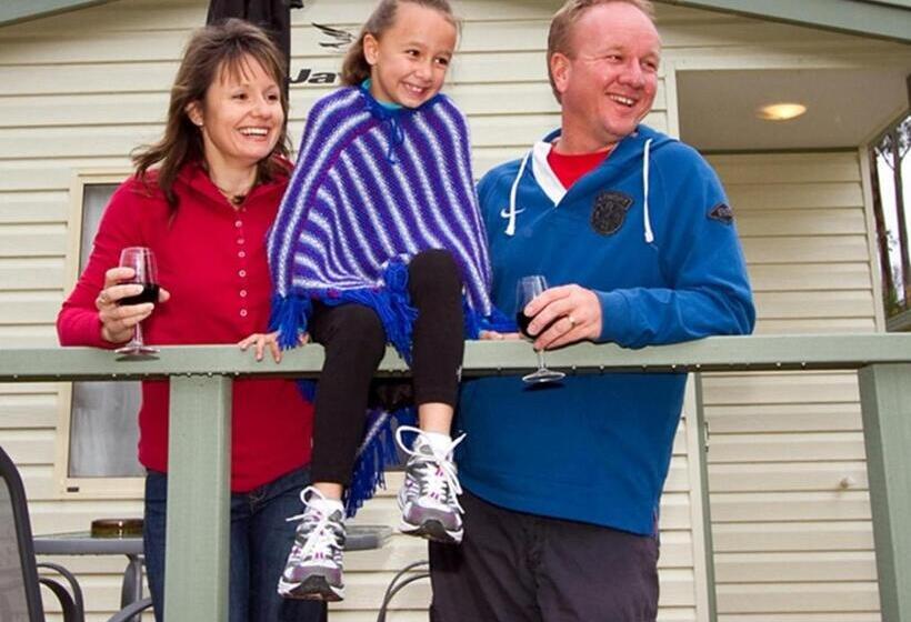 מוטל Marysville Holiday Park