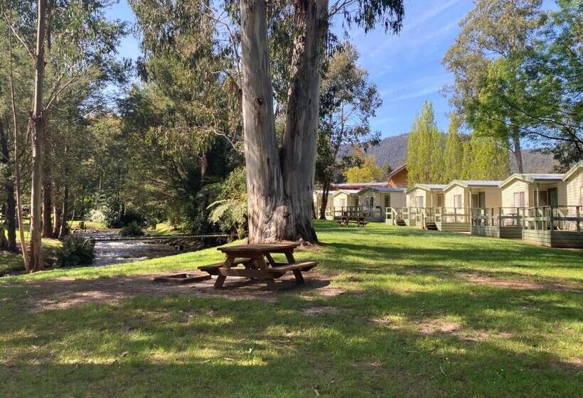 מוטל Marysville Holiday Park